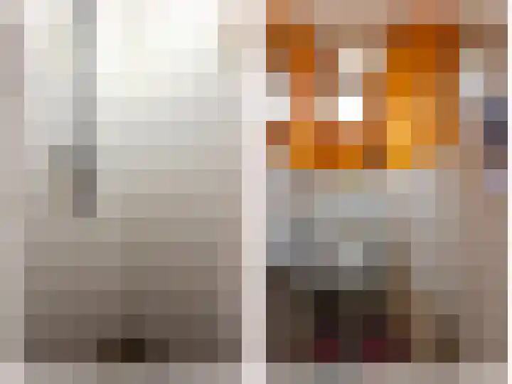 Rijnsoever 18 Utrecht thumbnail 19