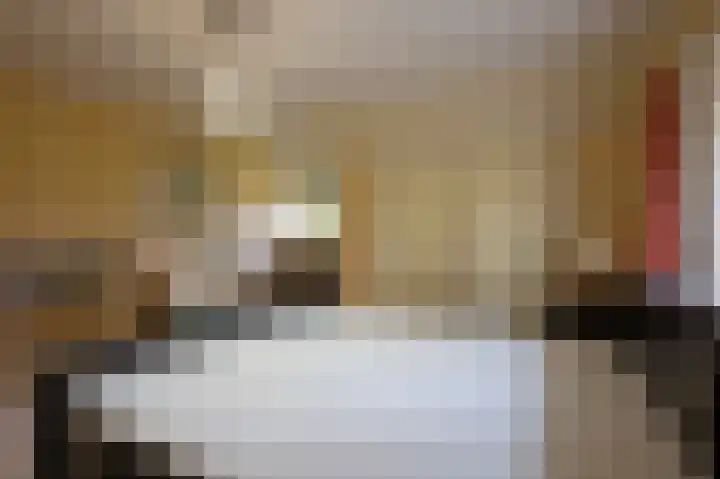 Rijnsoever 18 Utrecht thumbnail 22