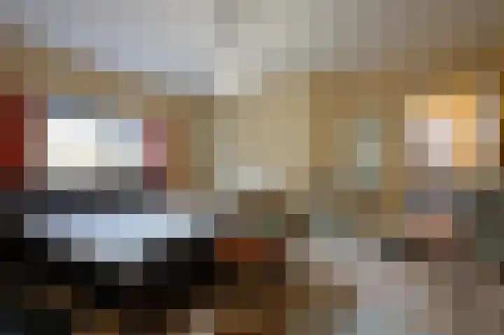 Rijnsoever 18 Utrecht thumbnail 23
