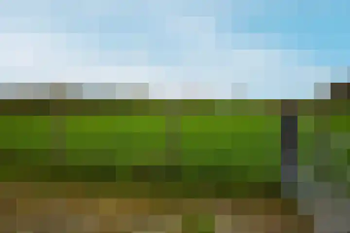 Rijnsoever 18 Utrecht thumbnail 31