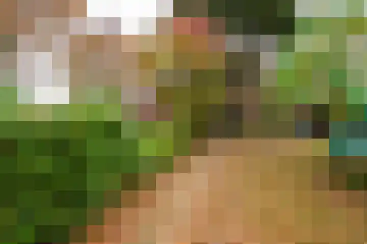 Rijnsoever 18 Utrecht thumbnail 32