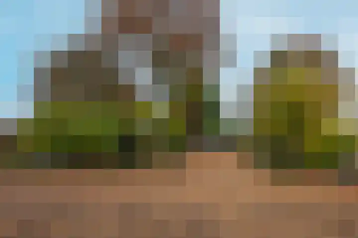 Rijnsoever 18 Utrecht thumbnail 33