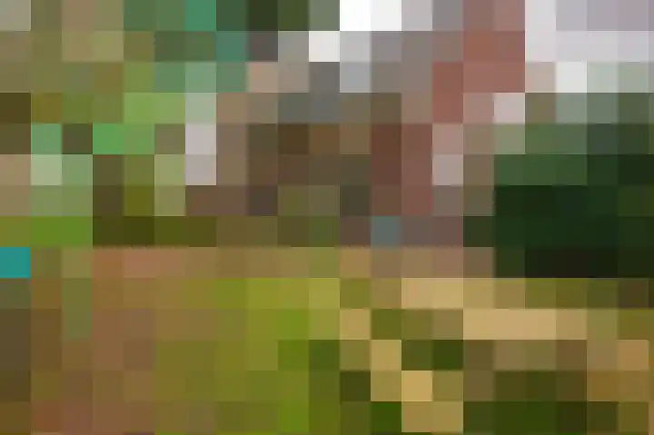 Rijnsoever 18 Utrecht thumbnail 35