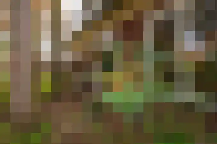 Rijnsoever 18 Utrecht thumbnail 36