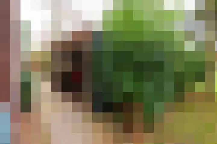 Rijnsoever 18 Utrecht thumbnail 37