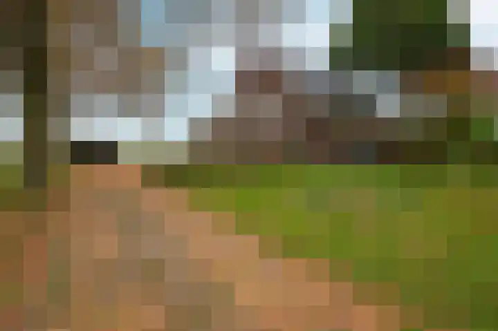 Rijnsoever 18 Utrecht thumbnail 4