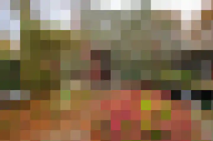 Rijnsoever 18 Utrecht thumbnail 40