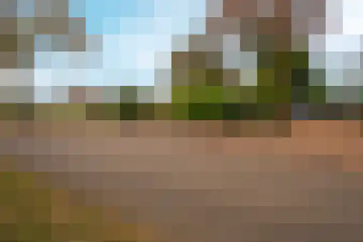 Rijnsoever 18 Utrecht thumbnail 43