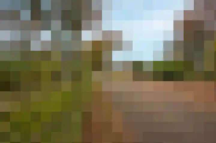 Rijnsoever 18 Utrecht thumbnail 44