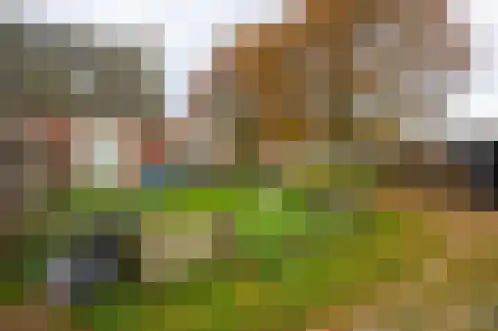 Rijnsoever 18 Utrecht thumbnail 7