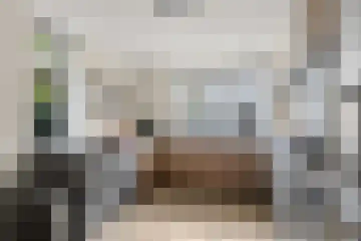 Rijnspoor 10 Houten thumbnail 10