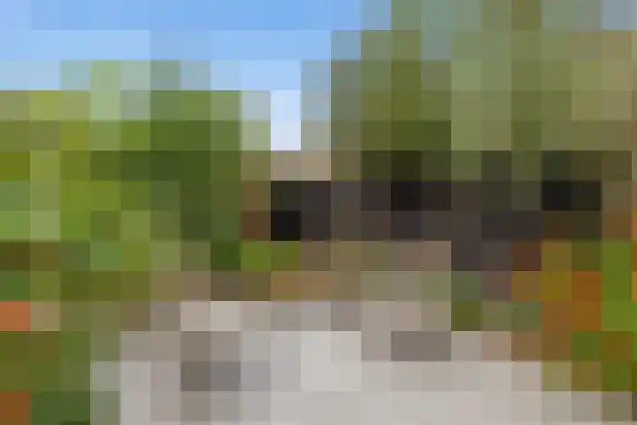 Rijnspoor 10 Houten thumbnail 17
