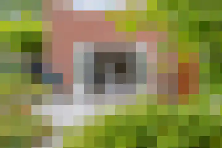 Rijnspoor 10 Houten thumbnail 18