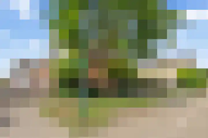 Rijnspoor 10 Houten thumbnail 40