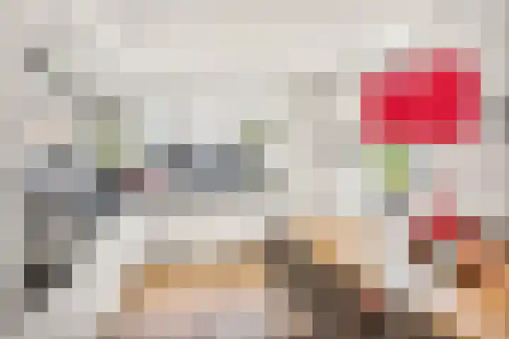 Rijnspoor 2 Houten thumbnail 18