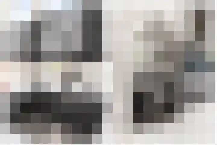 Rijnspoor 2 Houten thumbnail 20