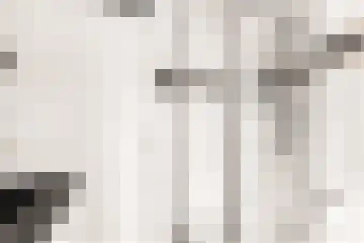 Rijnspoor 2 Houten thumbnail 24