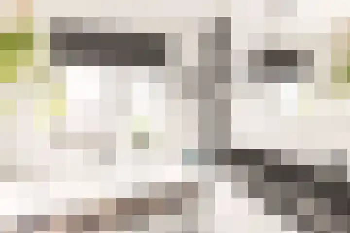 Rijnspoor 2 Houten thumbnail 25