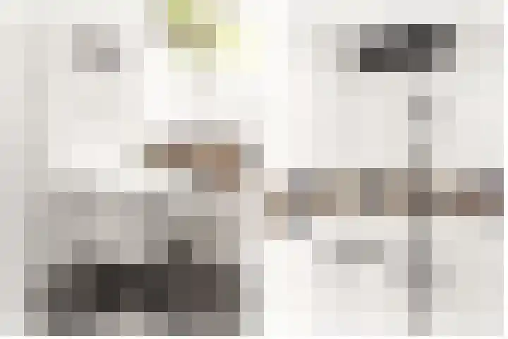 Rijnspoor 2 Houten thumbnail 26