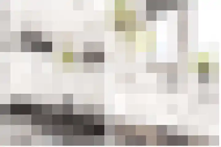 Rijnspoor 2 Houten thumbnail 27