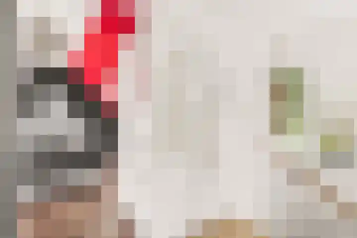 Rijnspoor 2 Houten thumbnail 37
