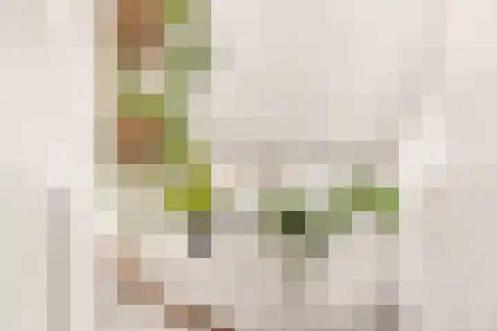 Rijnspoor 2 Houten thumbnail 38