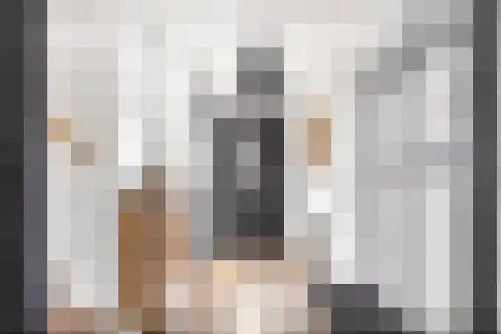 Rijnspoor 2 Houten thumbnail 5