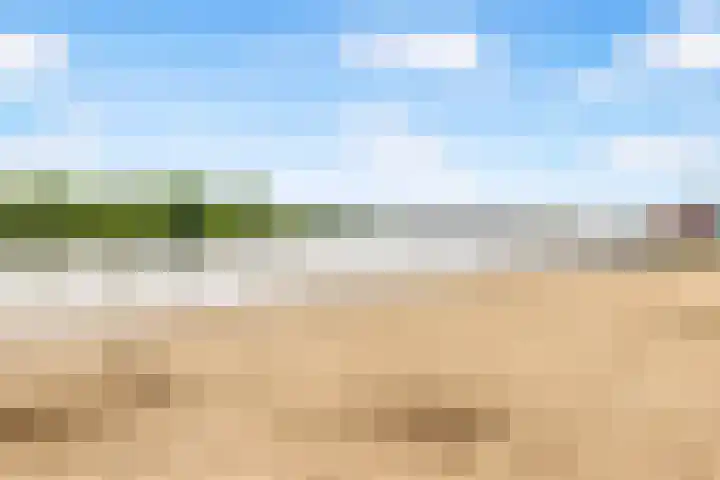 Rijnspoor 2 Houten thumbnail 62