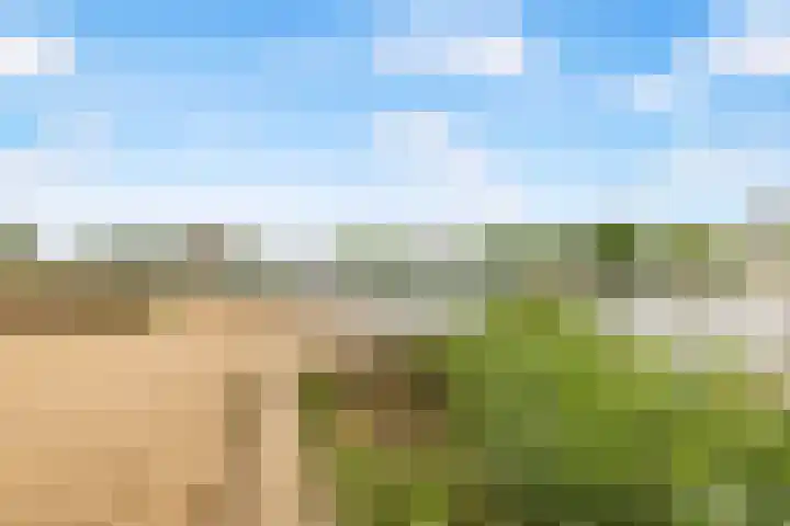 Rijnspoor 2 Houten thumbnail 64