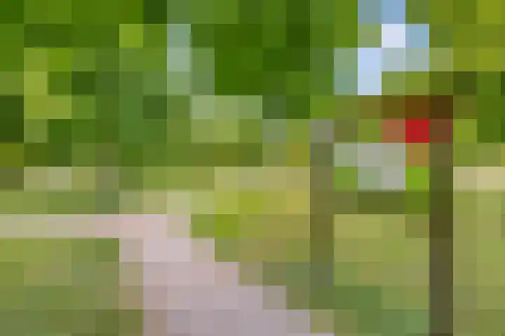 Rijnspoor 2 Houten thumbnail 65