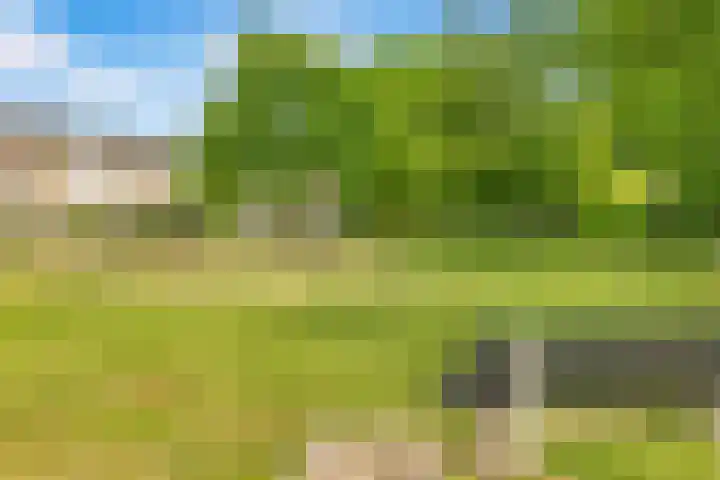 Rijnspoor 2 Houten thumbnail 66