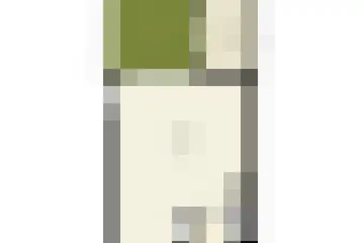 Rijnspoor 2 Houten thumbnail 67