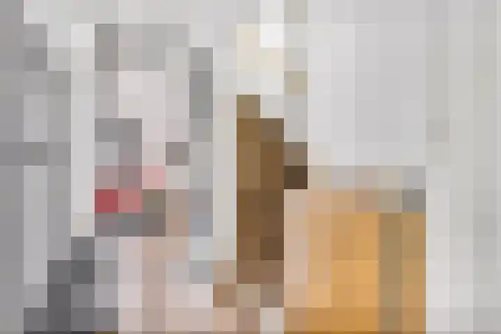 Rijnspoor 2 Houten thumbnail 7