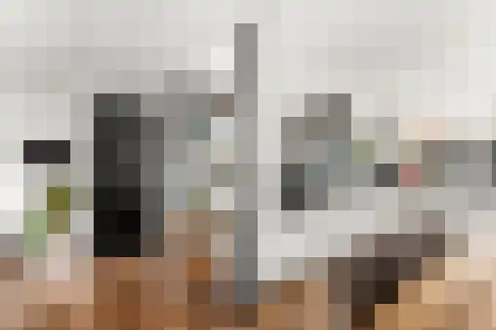 Rijnspoor 2 Houten thumbnail 9