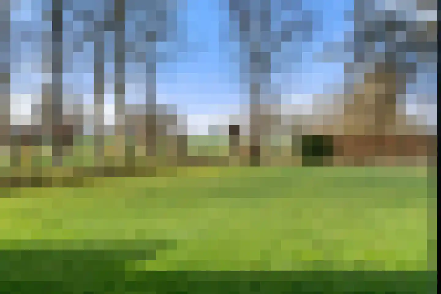 Rijnsteeg 1 Bennekom thumbnail 12
