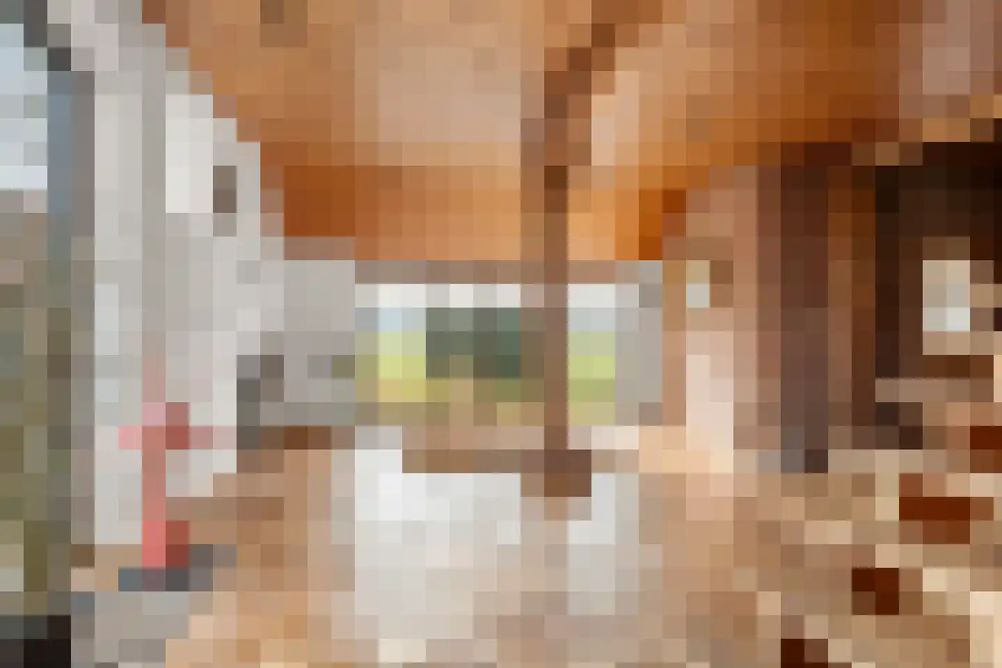 Rijnsteeg 1 Bennekom thumbnail 14