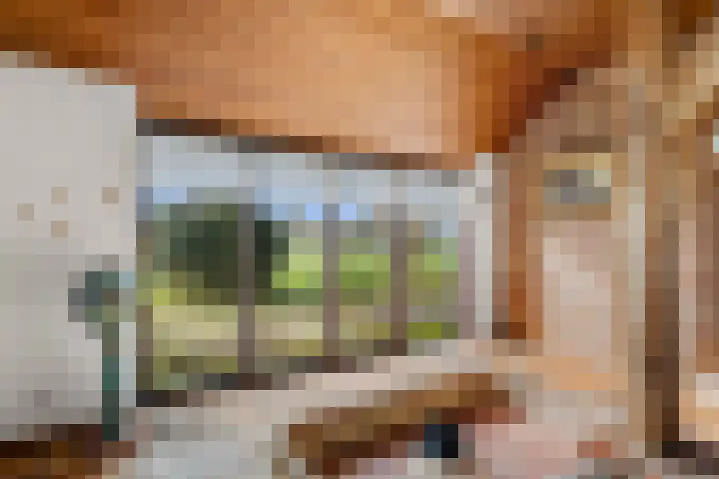 Rijnsteeg 1 Bennekom thumbnail 15