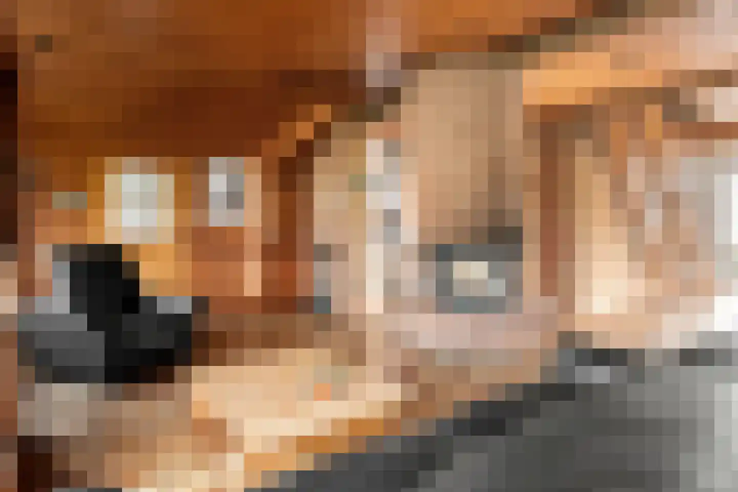 Rijnsteeg 1 Bennekom thumbnail 17