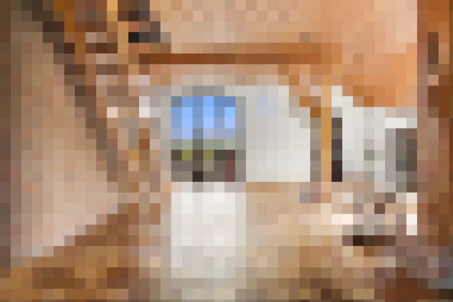 Rijnsteeg 1 Bennekom thumbnail 18