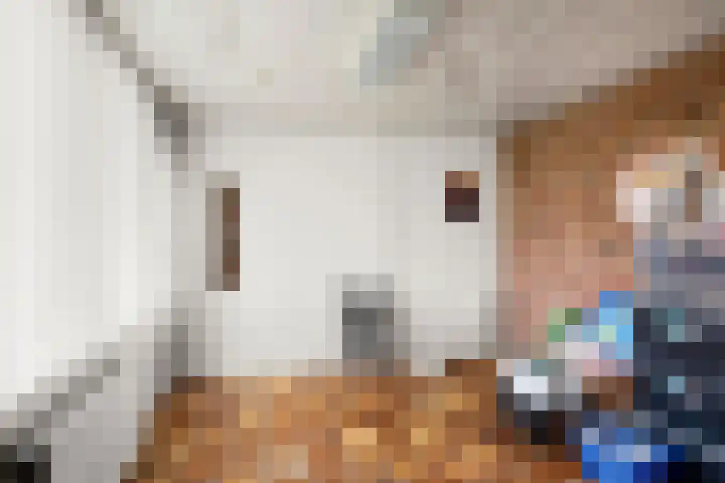 Rijnsteeg 1 Bennekom thumbnail 23
