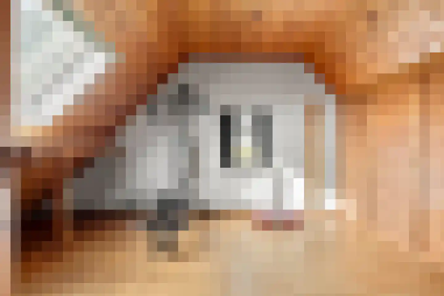 Rijnsteeg 1 Bennekom thumbnail 28