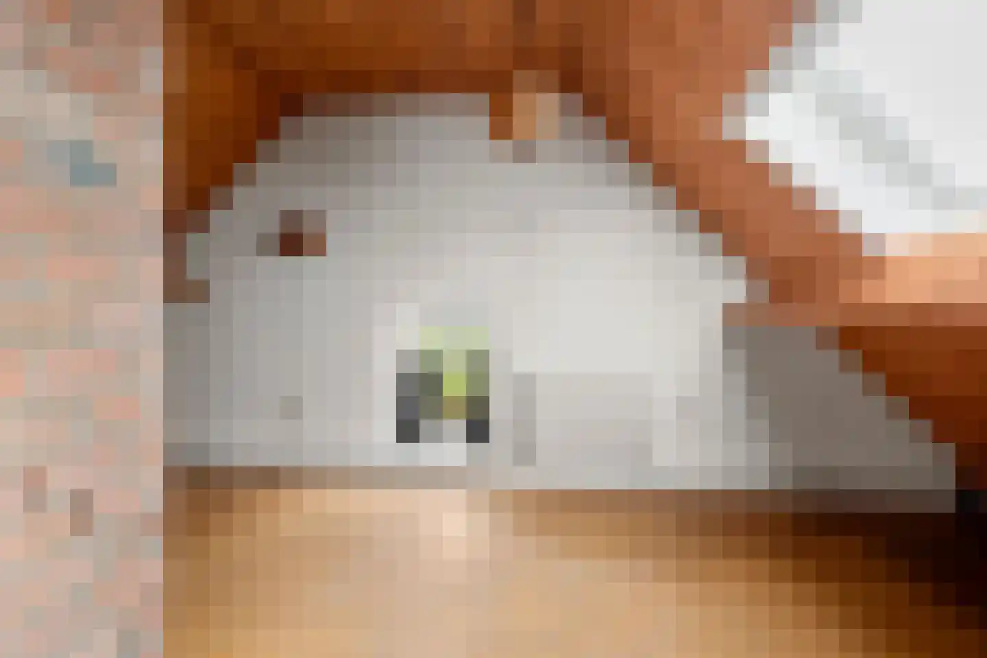 Rijnsteeg 1 Bennekom thumbnail 29