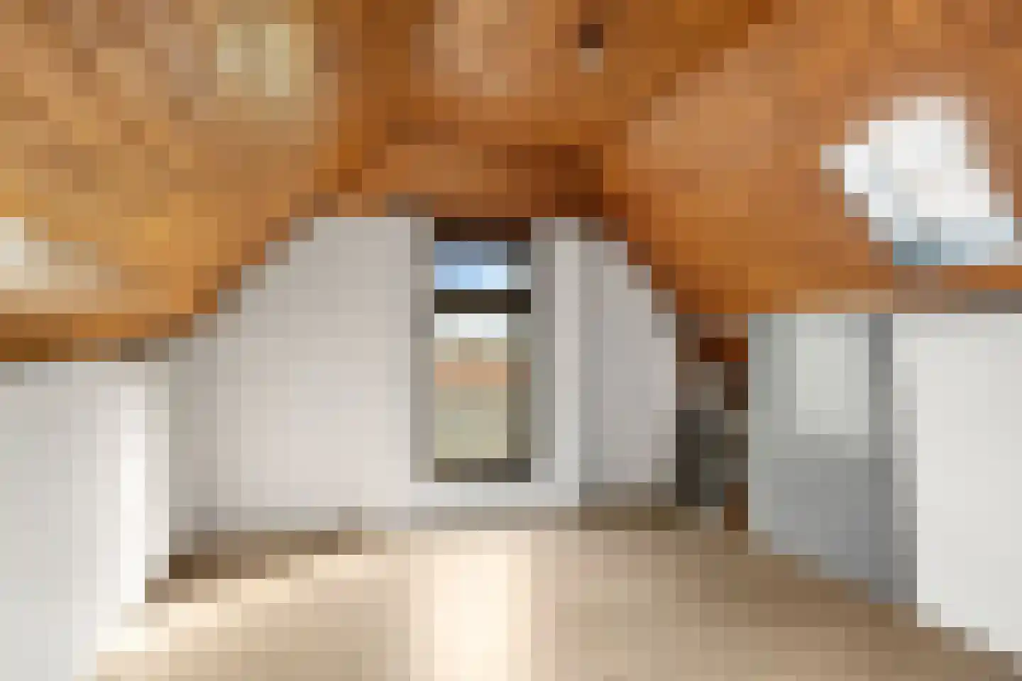 Rijnsteeg 1 Bennekom thumbnail 40