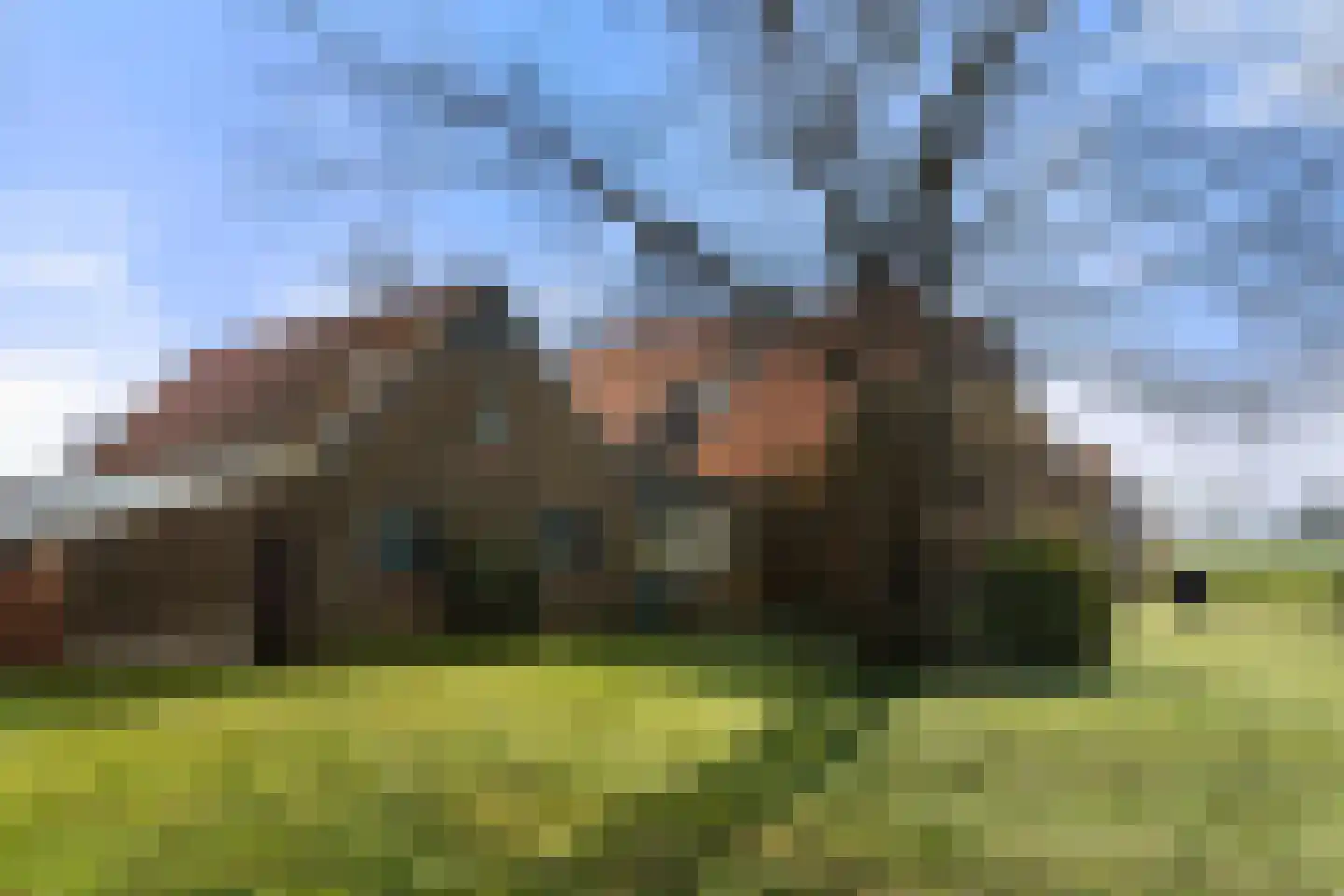 Rijnsteeg 1 Bennekom thumbnail 8