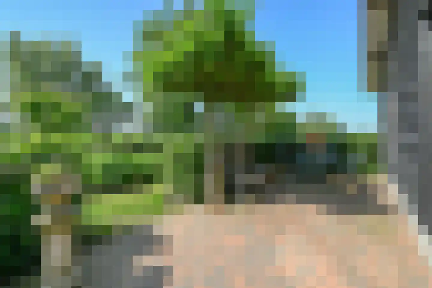 Rijnsteeg 2 Bennekom thumbnail 18