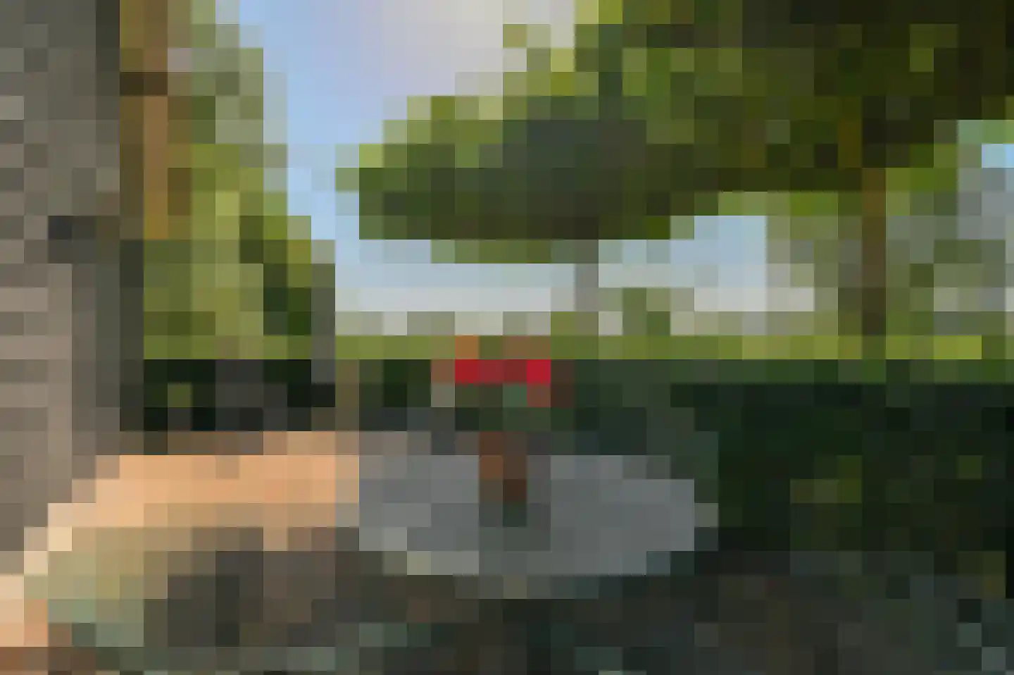 Rijnsteeg 2 Bennekom thumbnail 19