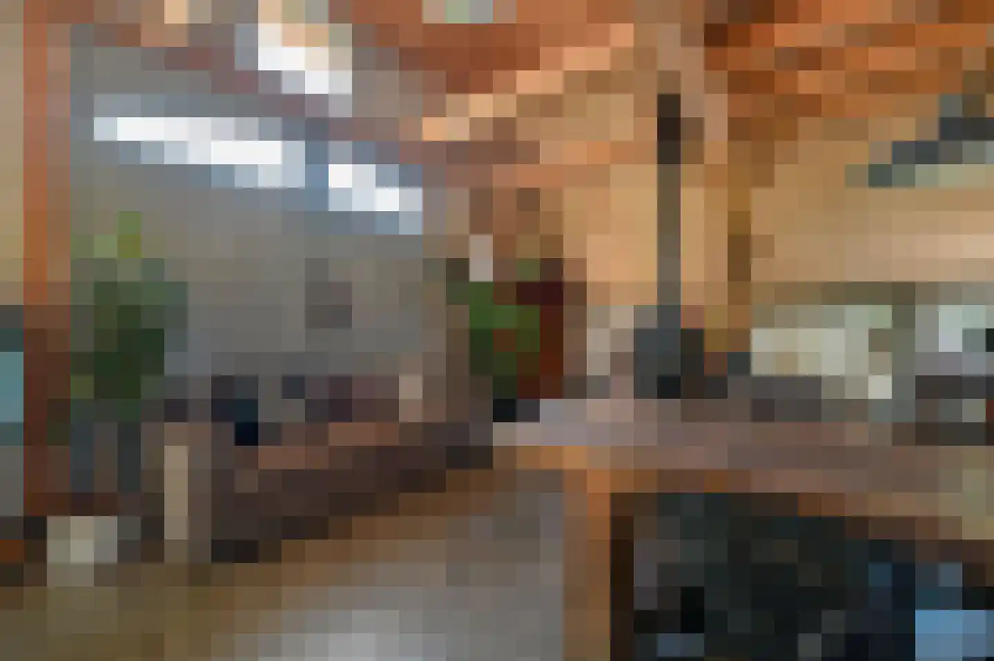 Rijnsteeg 2 Bennekom thumbnail 26