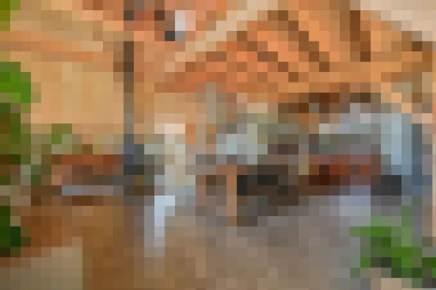 Rijnsteeg 2 Bennekom thumbnail 27