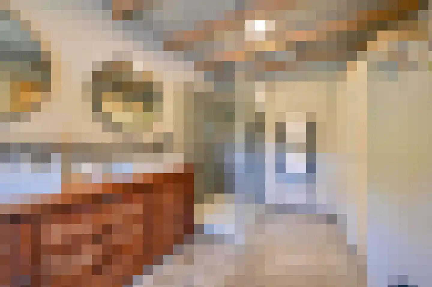 Rijnsteeg 2 Bennekom thumbnail 32