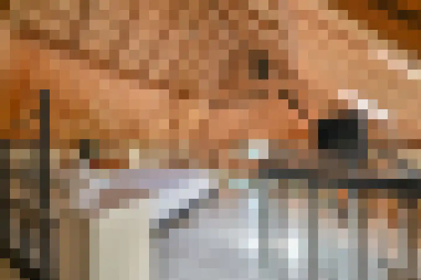 Rijnsteeg 2 Bennekom thumbnail 36